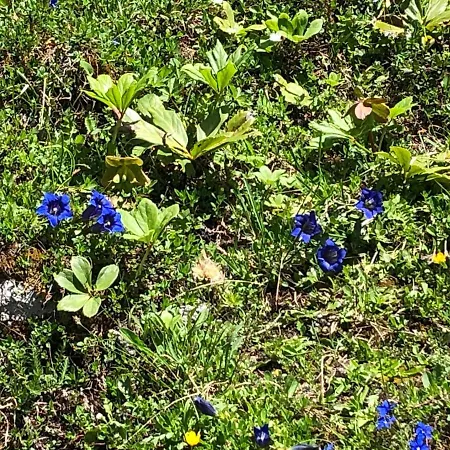 Susanne Hillbrand 公寓 巴特奥塞