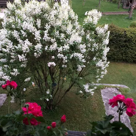 Susanne Hillbrand * Bad Aussee