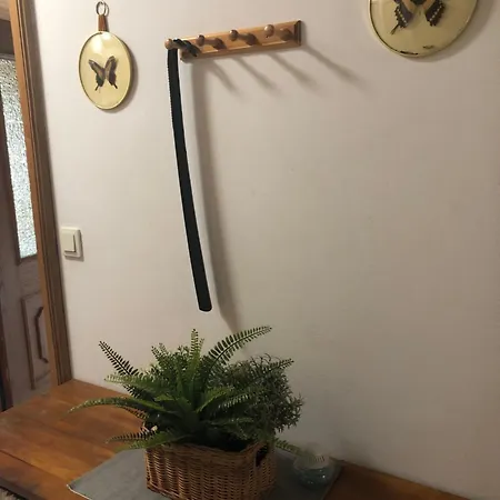 Susanne Hillbrand Apartment