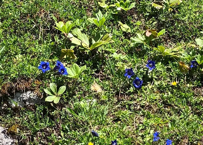 Susanne Hillbrand Appartamento Bad Aussee