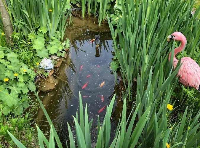 Lejlighed Susanne Hillbrand Bad Aussee