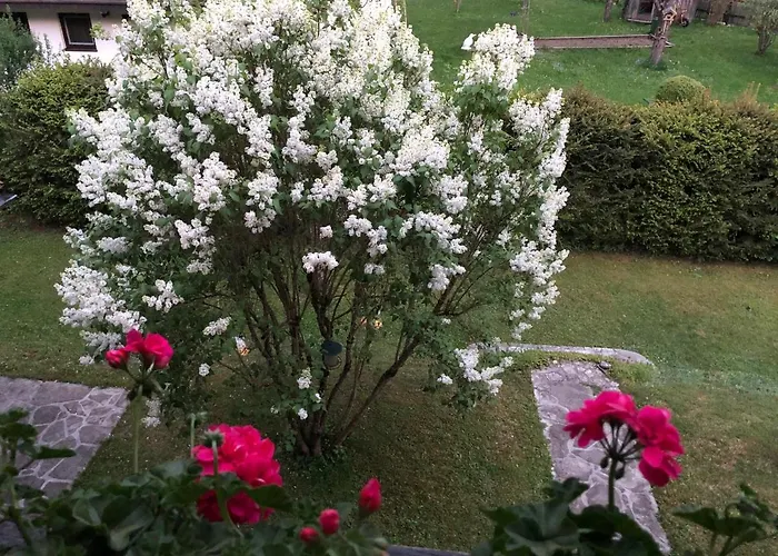 Susanne Hillbrand * Bad Aussee