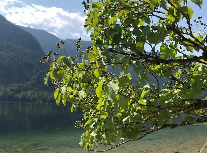 Susanne Hillbrand Lejlighed Bad Aussee