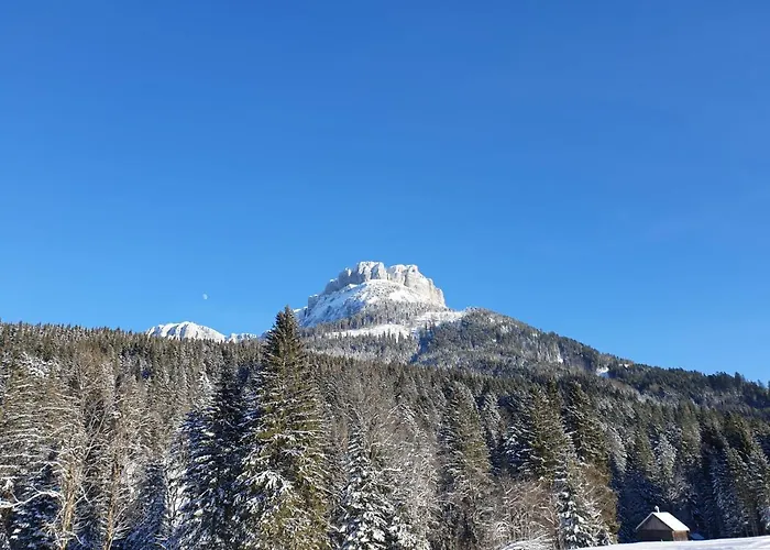 Susanne Hillbrand Lejlighed