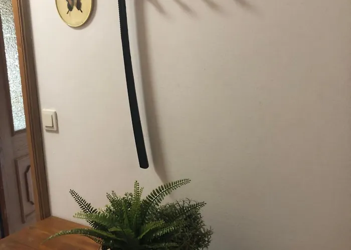 Susanne Hillbrand Lejlighed